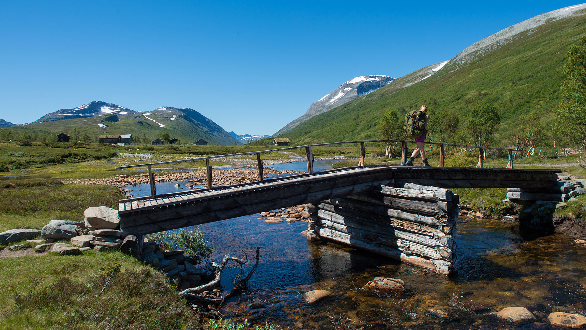 Furuskog og fjellet Snota, landskapsbilde.