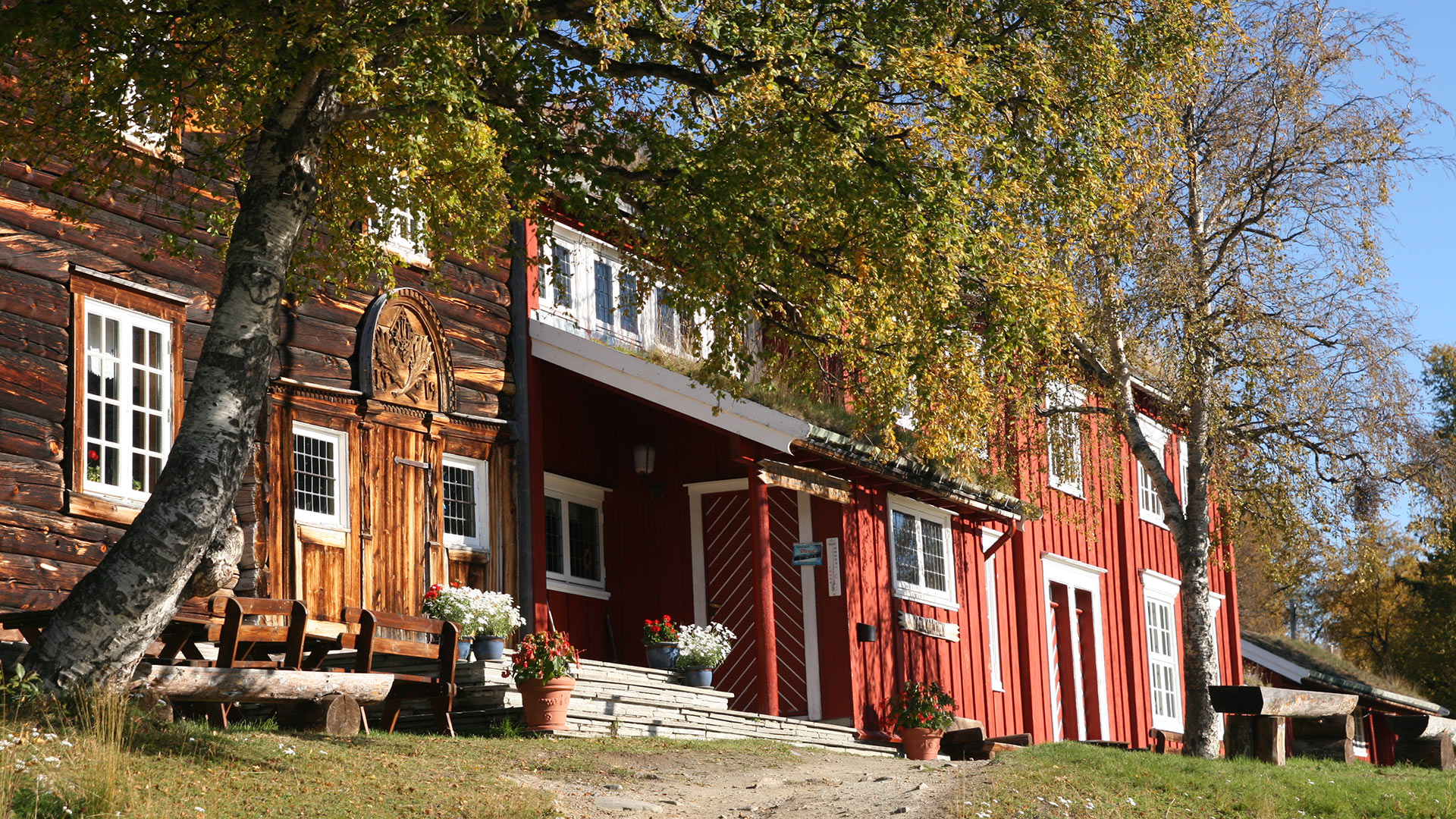 Telt i mørket, stjernehimmel over