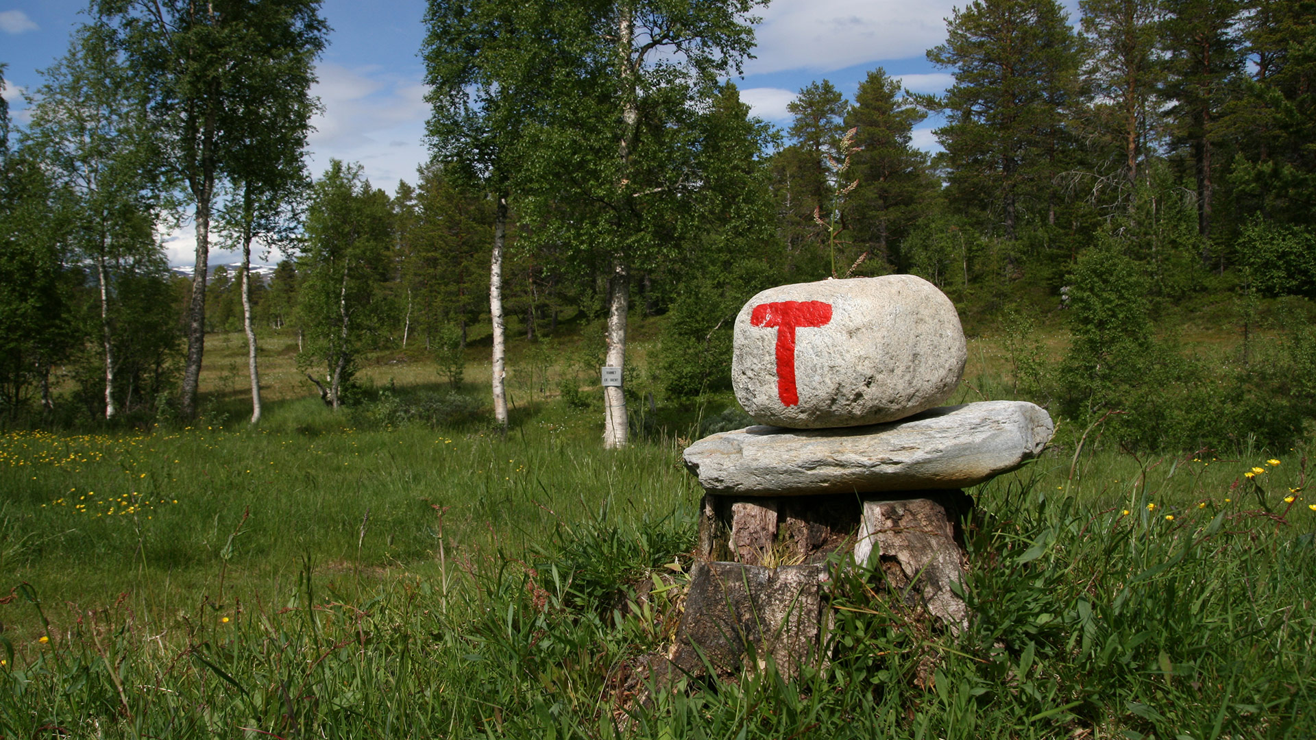 Barn er ute og leker